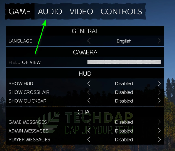 Selecting "Audio" option